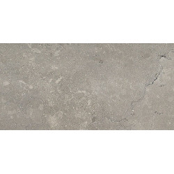 Carrelage grès cérame effet pierre LAROCHE LIGHT GREY 20X120 - 1,2m² Arcana