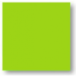 Faience colorée vert Carpio Menta brillant 20x20 cm - 1m² 