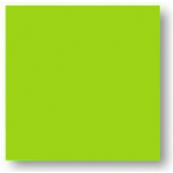 Faience colorée vert Carpio Menta brillant 20x20 cm - 1m² Ribesalbes