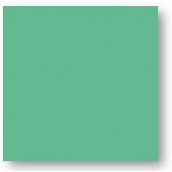 Faience colorée vert foncé Carpio Verde brillant ou mat 20x20 cm - 1m² 