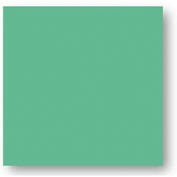 Faience colorée vert foncé Carpio Verde brillant ou mat 20x20 cm - 1m² CE.SI