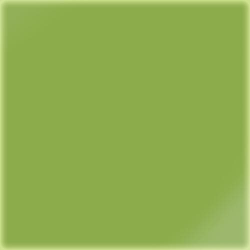 Carrelage uni 20x20 cm vert absi brillant LIME - 1.4m² Ribesalbes