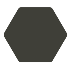 Carrelage tomette anthracite 25x29 cm TOSCANA MARENGO - 1m² Nd